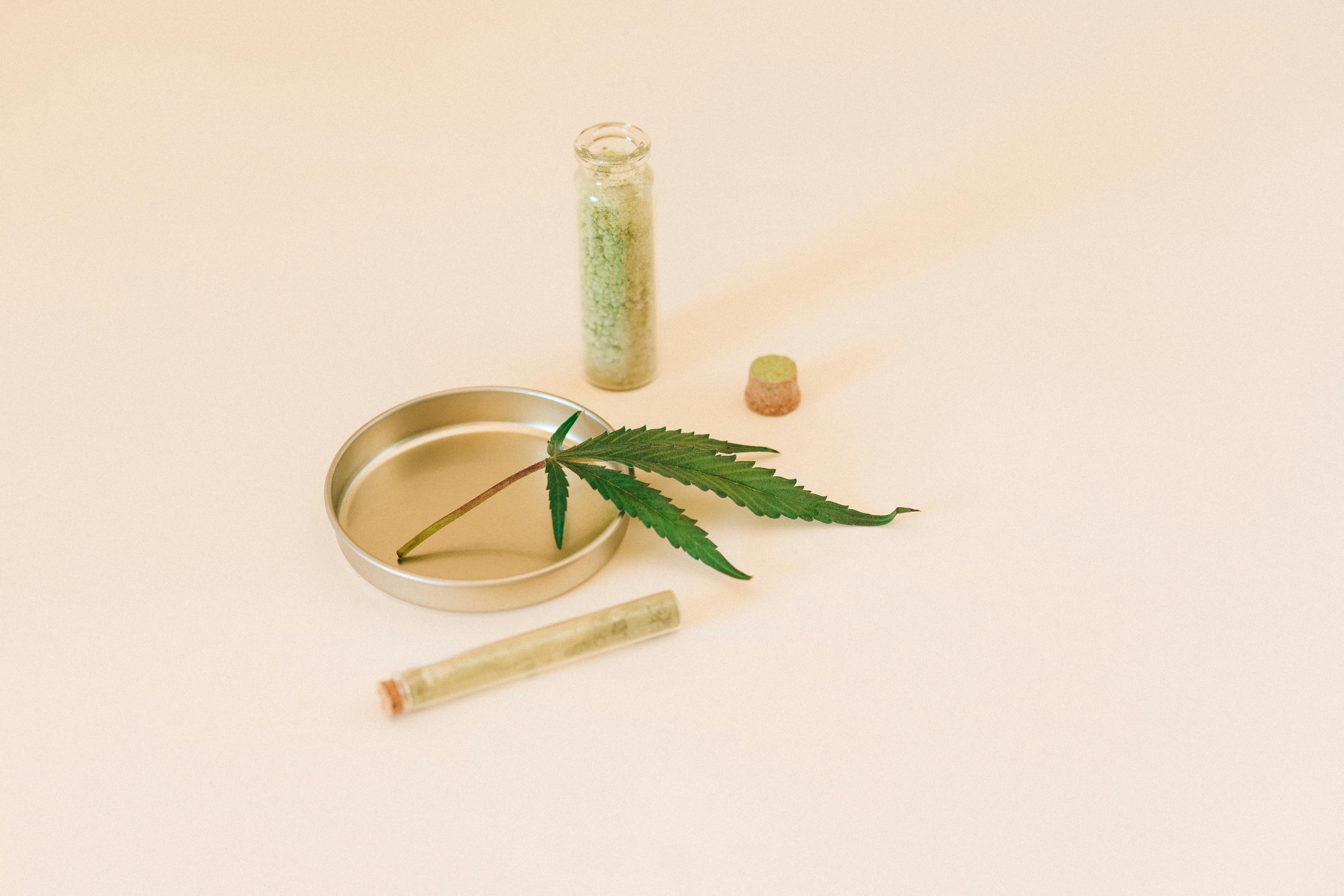 A cannabis leaf with herbal extracts in a glass vial, representing natural healthcare remedies.