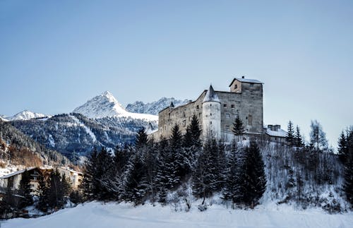 Imagine de stoc gratuită din Alpi, altitudine, arbori