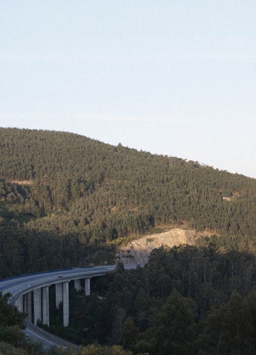 Kostenloses Stock Foto zu bäume, berg, beton