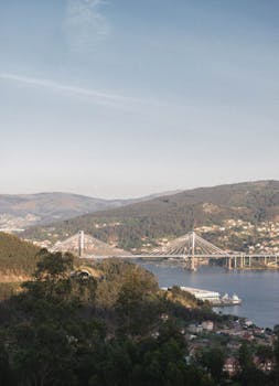 Vigo