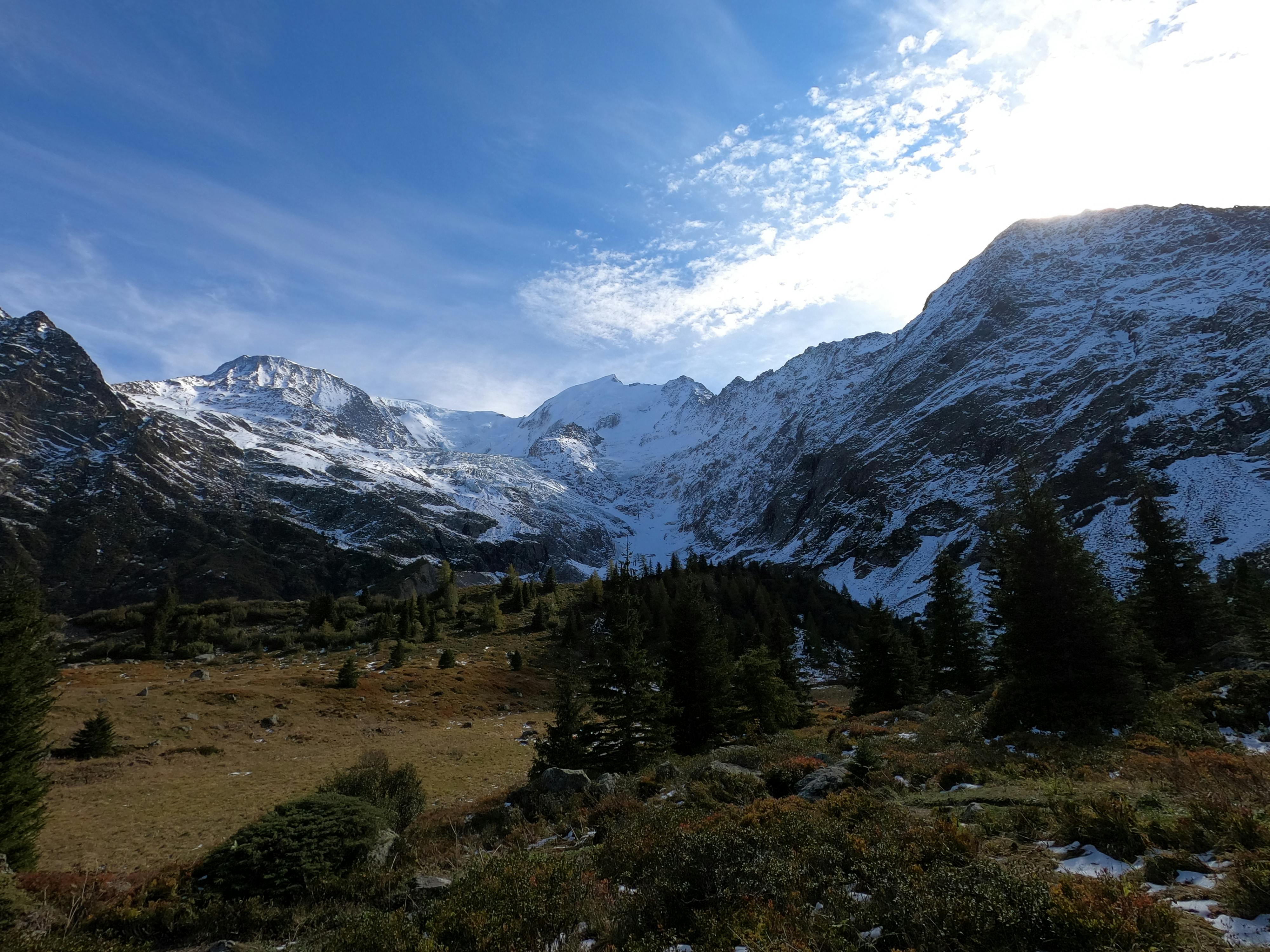 Majestic snowcapped mountains under a clear blue sky, surrounded by lush evergreen trees.