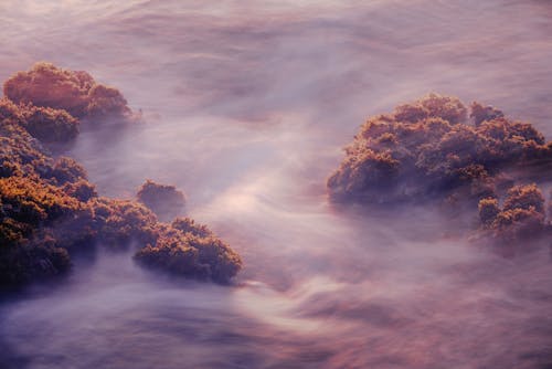 Wildfire Smoke And Fog Team Up To Create Super Fog In Louisiana