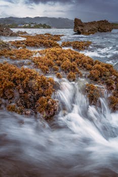 Vivid coastal view showcasing flowing water over rocks under a moody sky.