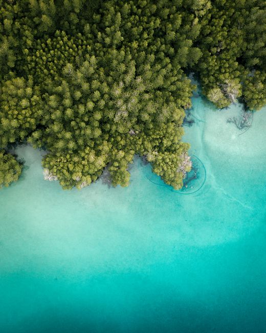 Why Con Dao is a Diver's Paradise Why Con Dao is a Diver's Paradise