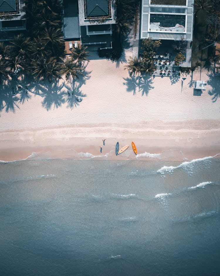 Aerial View Of People And Kayaks On Beach Shore