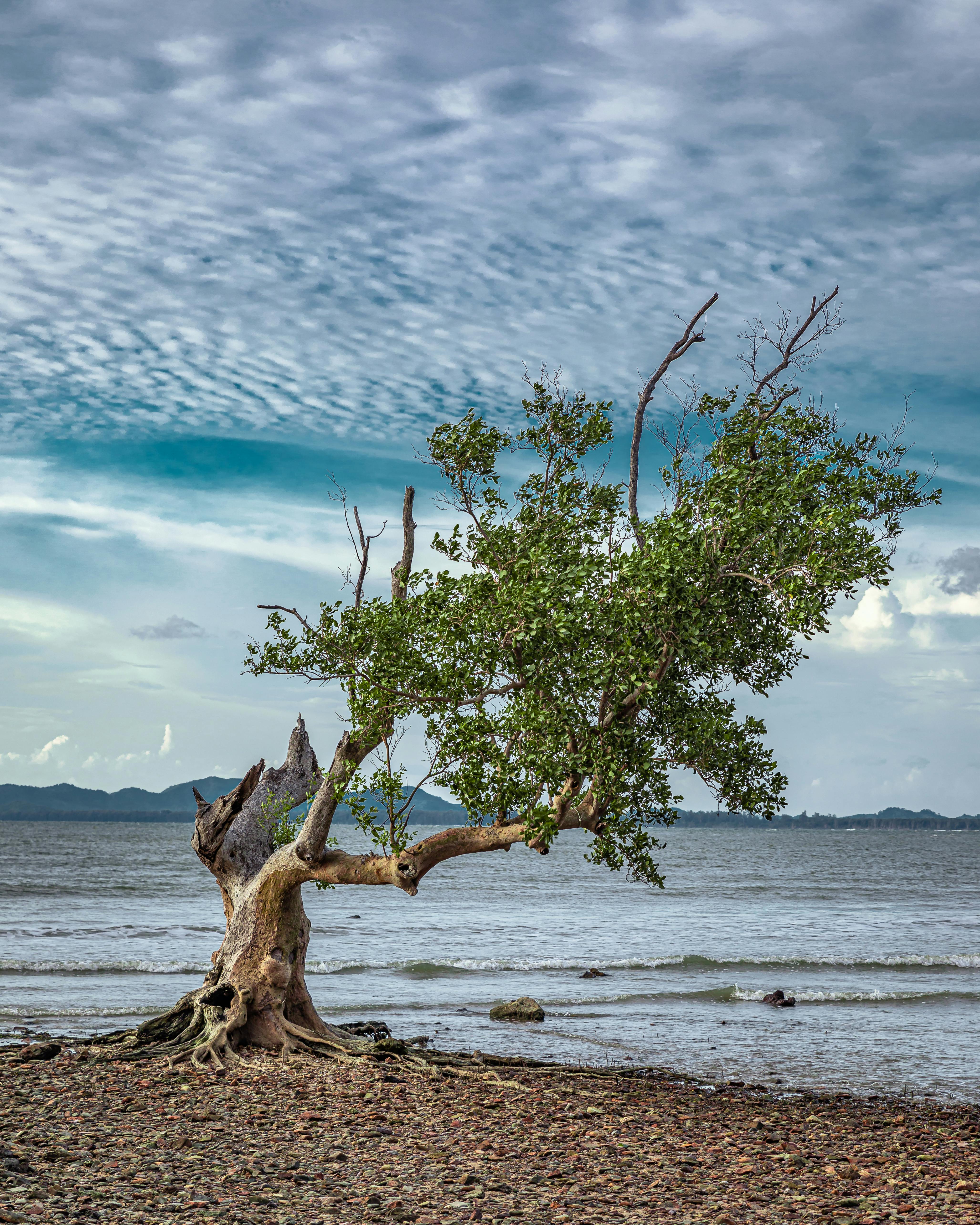 Koh Mook