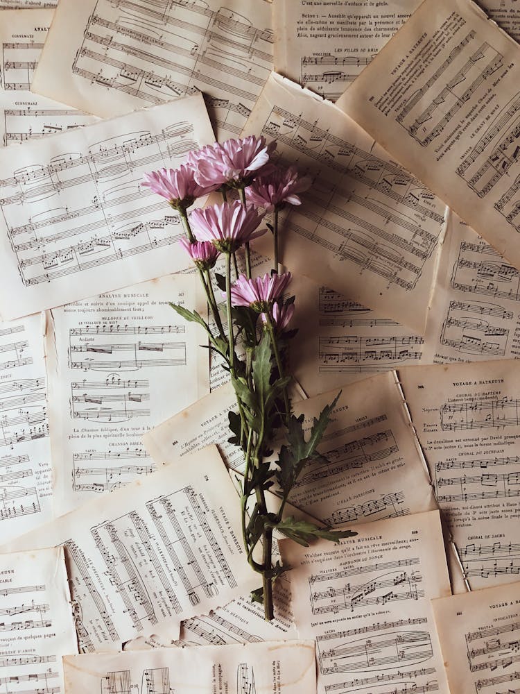 Pink Flower On Torn Out Pages