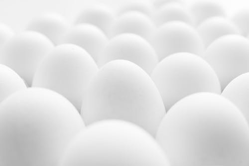 White Eggs Lot in Close-Up Photography