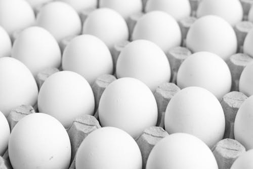 Grayscale Photo of Eggs on a Tray