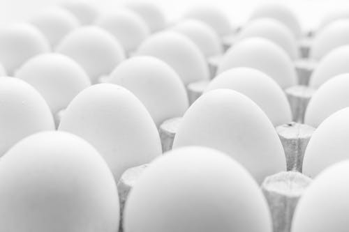 Monochrome Photo of a Tray of Eggs