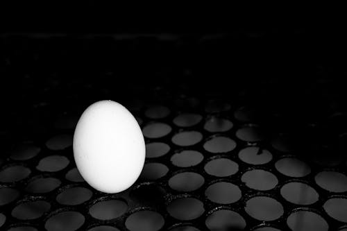 คลังภาพถ่ายฟรี ของ ความเหงา, หัก, เปลือกไข่
