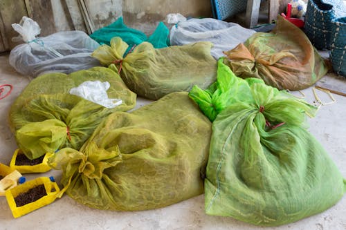 Free stock photo of bag, for sale, snake