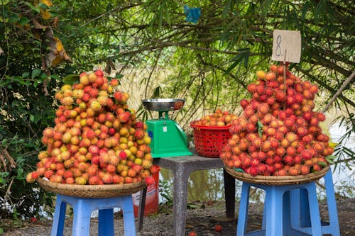 Rambutans on Winnowing Baskets for Sale