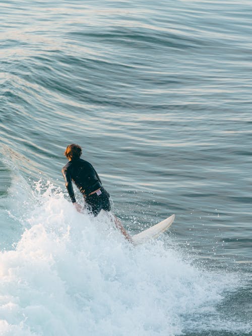 Man in Black Wetsuit Surfing on Sea