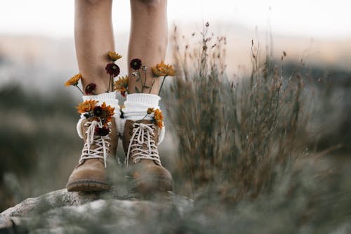 Foto stok gratis alas kaki, bunga-bunga, flora