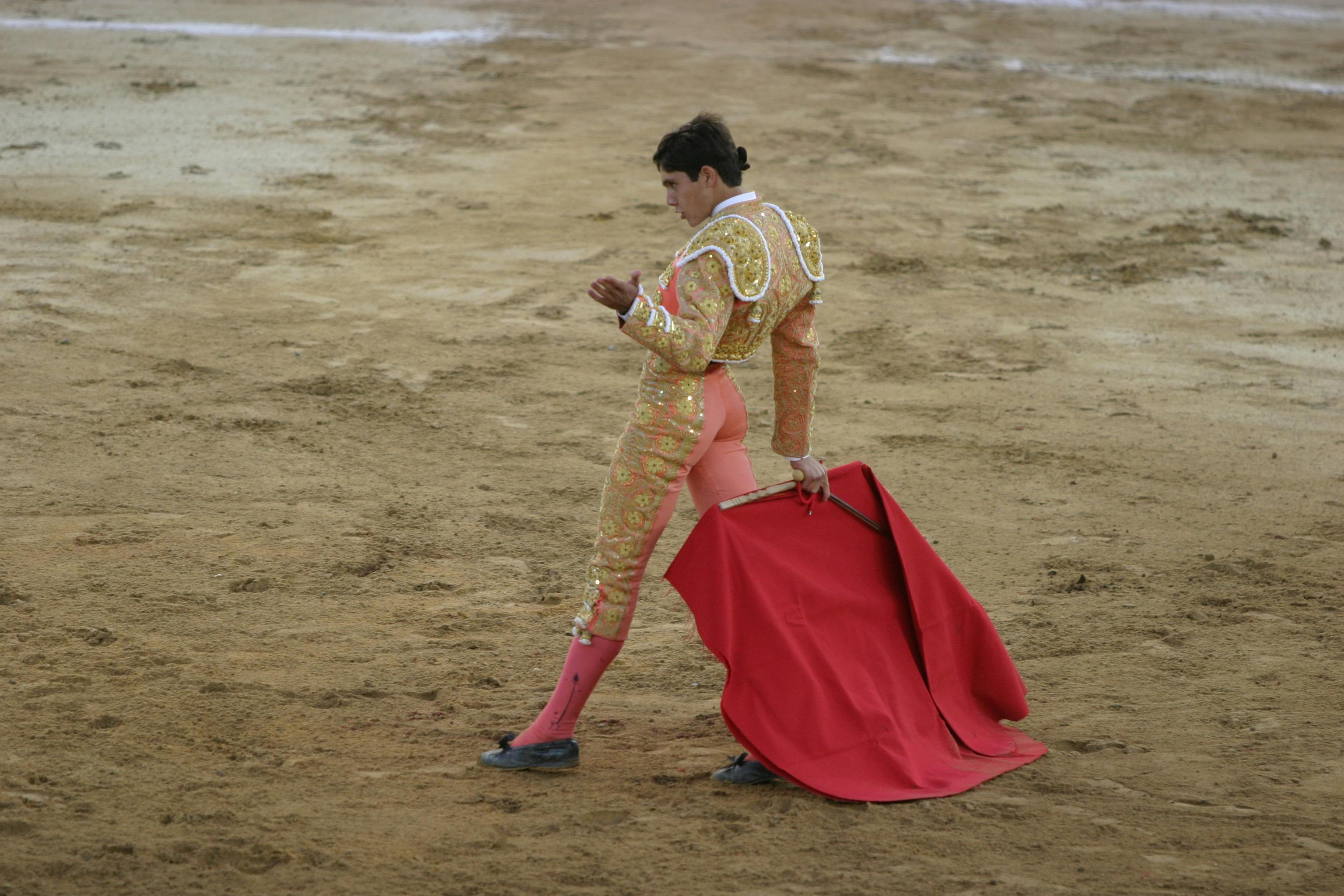 Free stock photo of matador