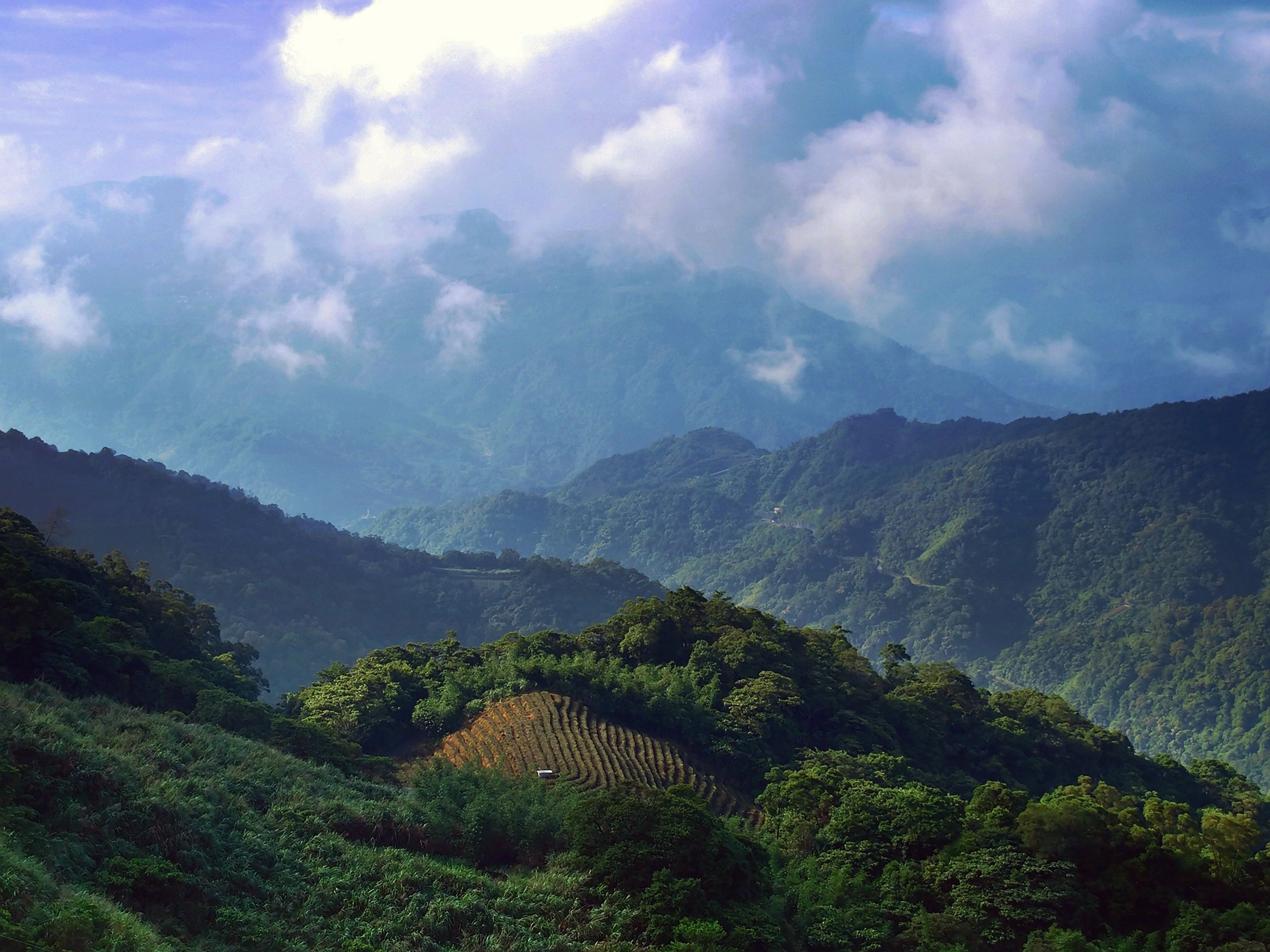Vibrant autumn foliage in a scenic mountain area of Taiwan, indicating pleasant weather.