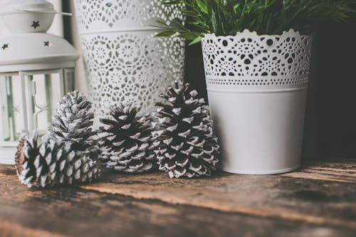 Photo of Pine Cones Near White Vase