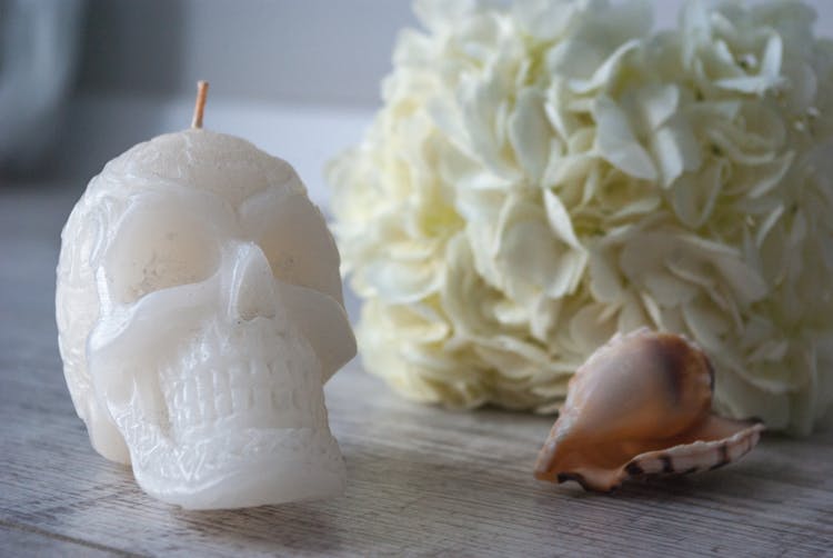 Skull Candle Placed Against Hydrangea Flower