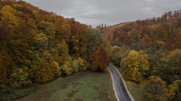 A picturesque road winds through a vibrant autumn forest in Ugod, Hungary, capturing the essence of fall.