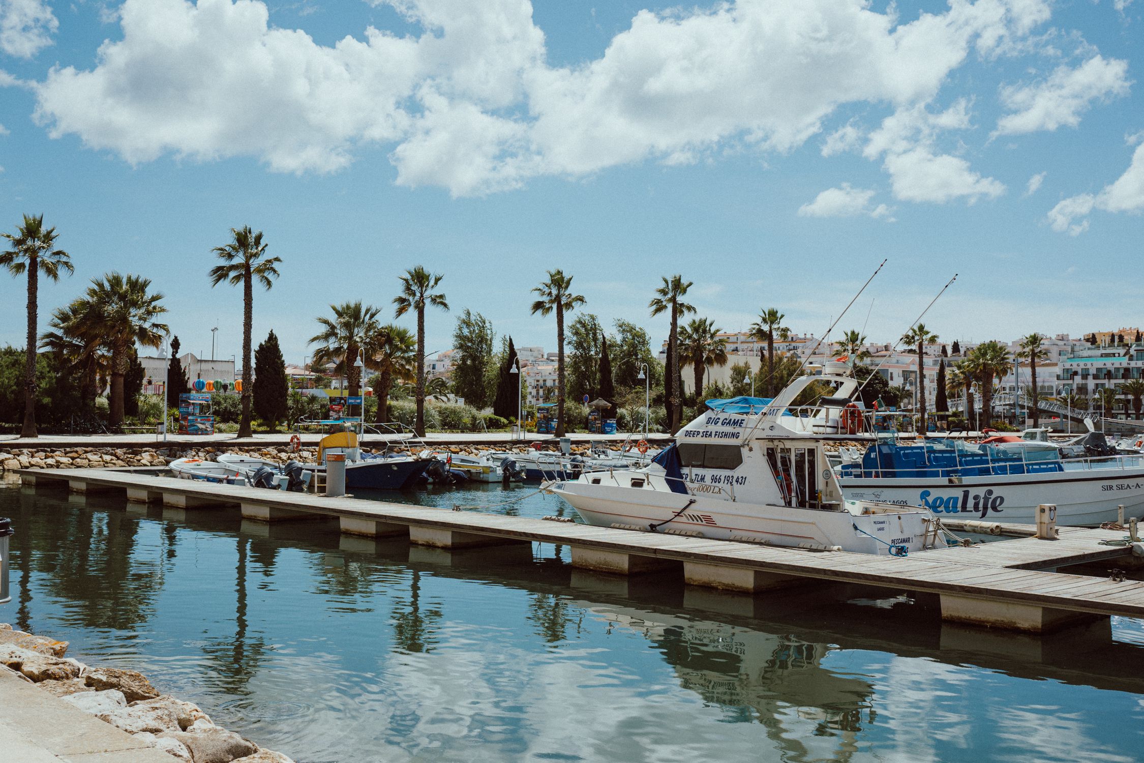 Boats on Body of Water · Free Stock Photo