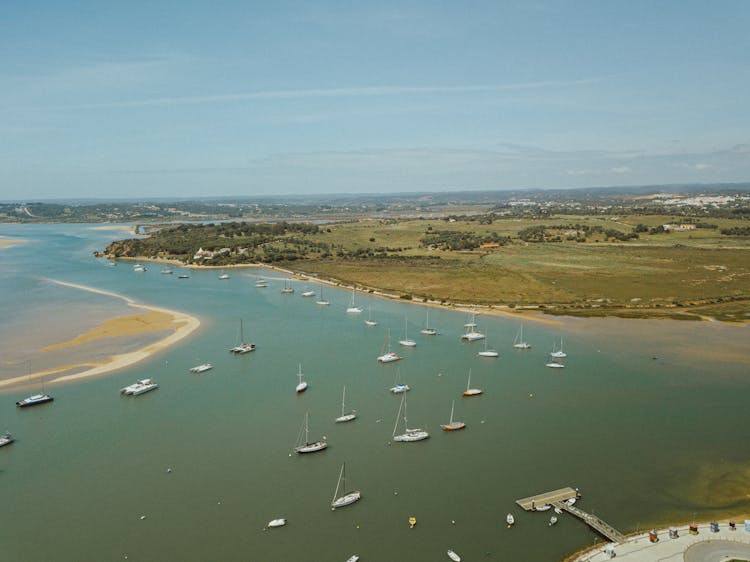 Aerial Photography Of Yachts Sailing On The Sea