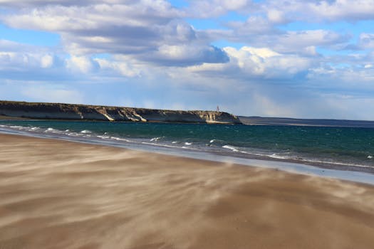 Puerto Madryn, Argentina photo 14