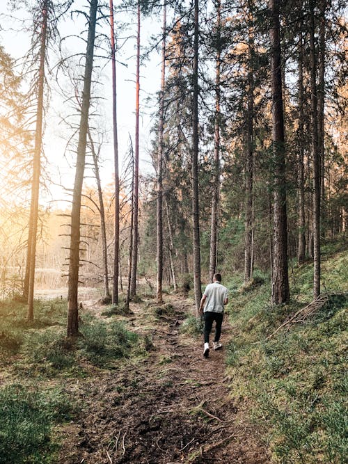 A Man in White Shirt Walking on Forest