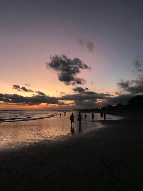 Silhouette of People on Beach during Sunset