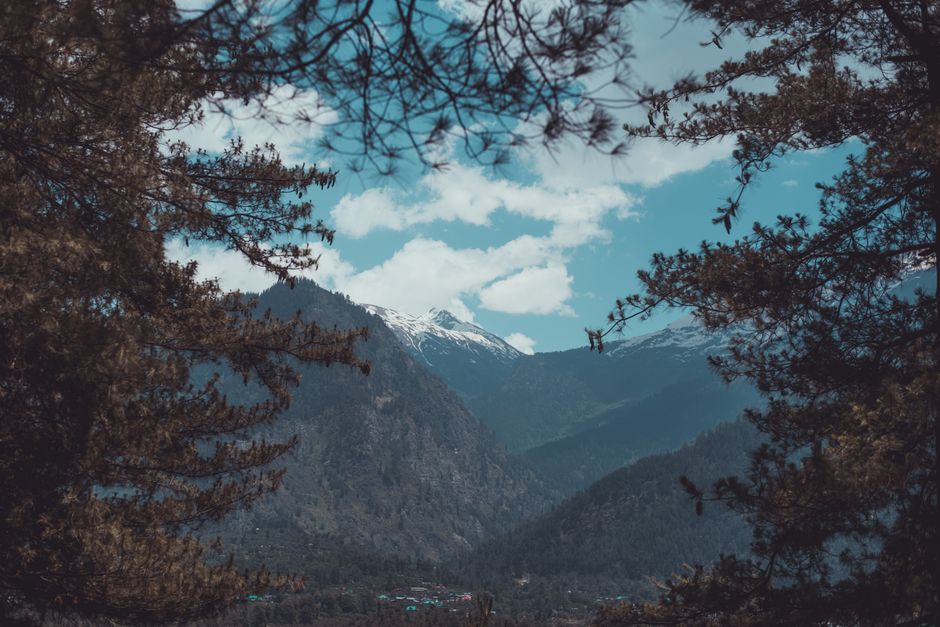 Serene landscape showcasing mountains framed by pine trees and a clear blue sky.