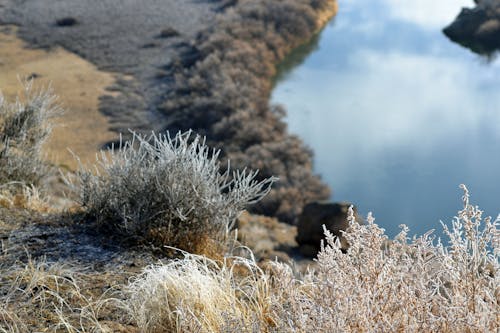 Free stock photo of mother nature, riverbank