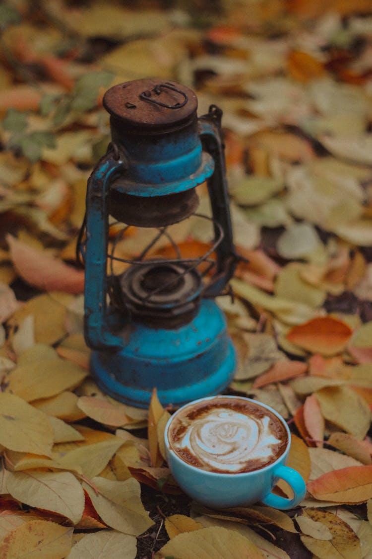 Vintage Oil Lamp Near Cup Of Latte On Dry Leaves