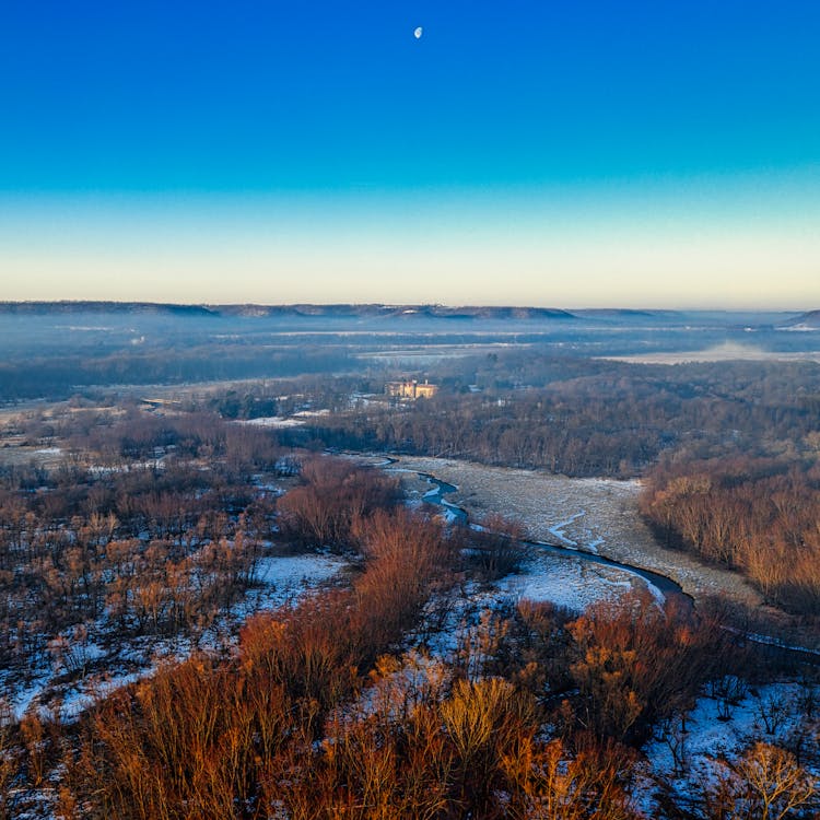 Aerial View Of Brown Trees On Snowy Ground