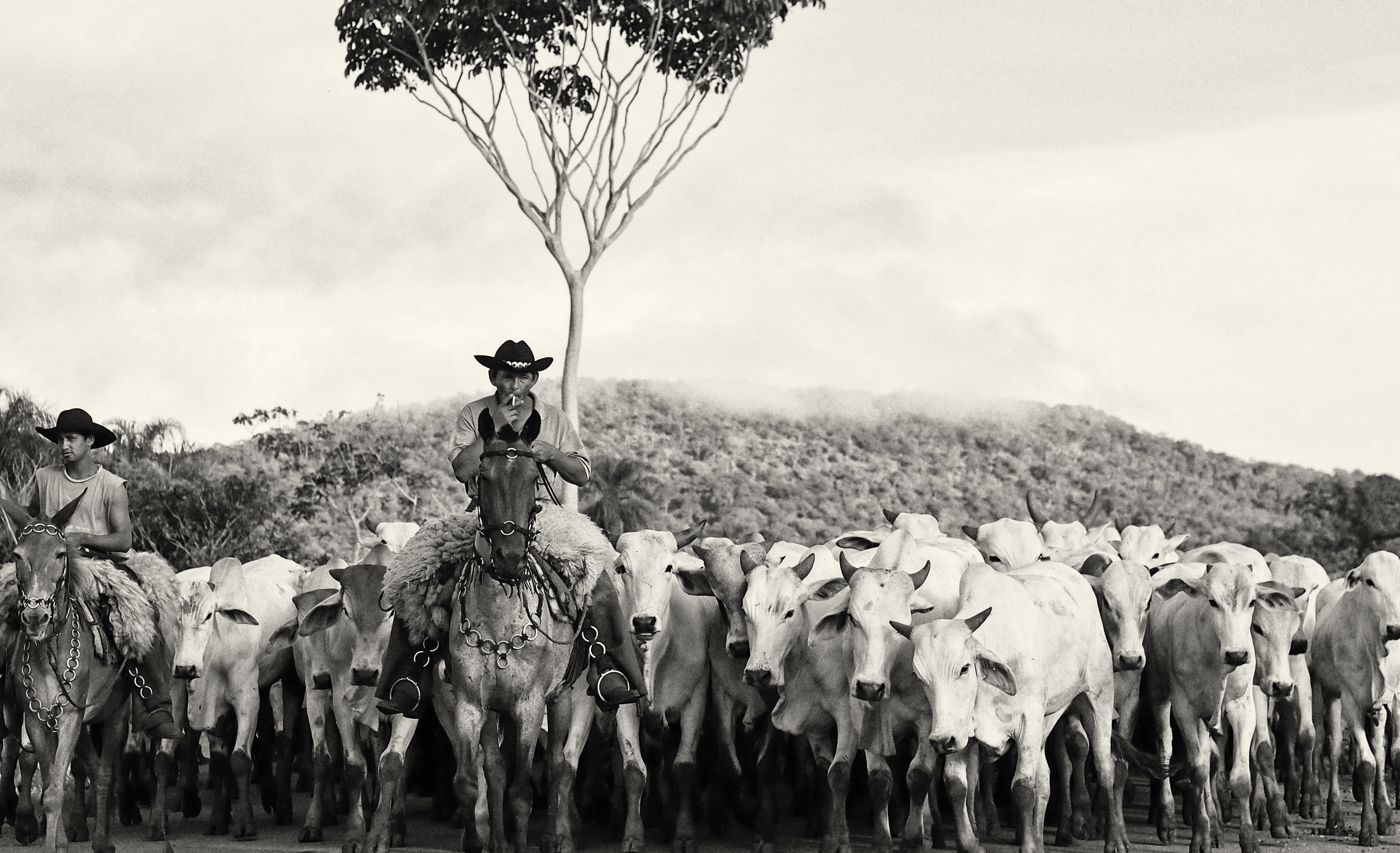 Peão brasileiro lidera ranking de maiores fortunas da história do rodeio profissional
