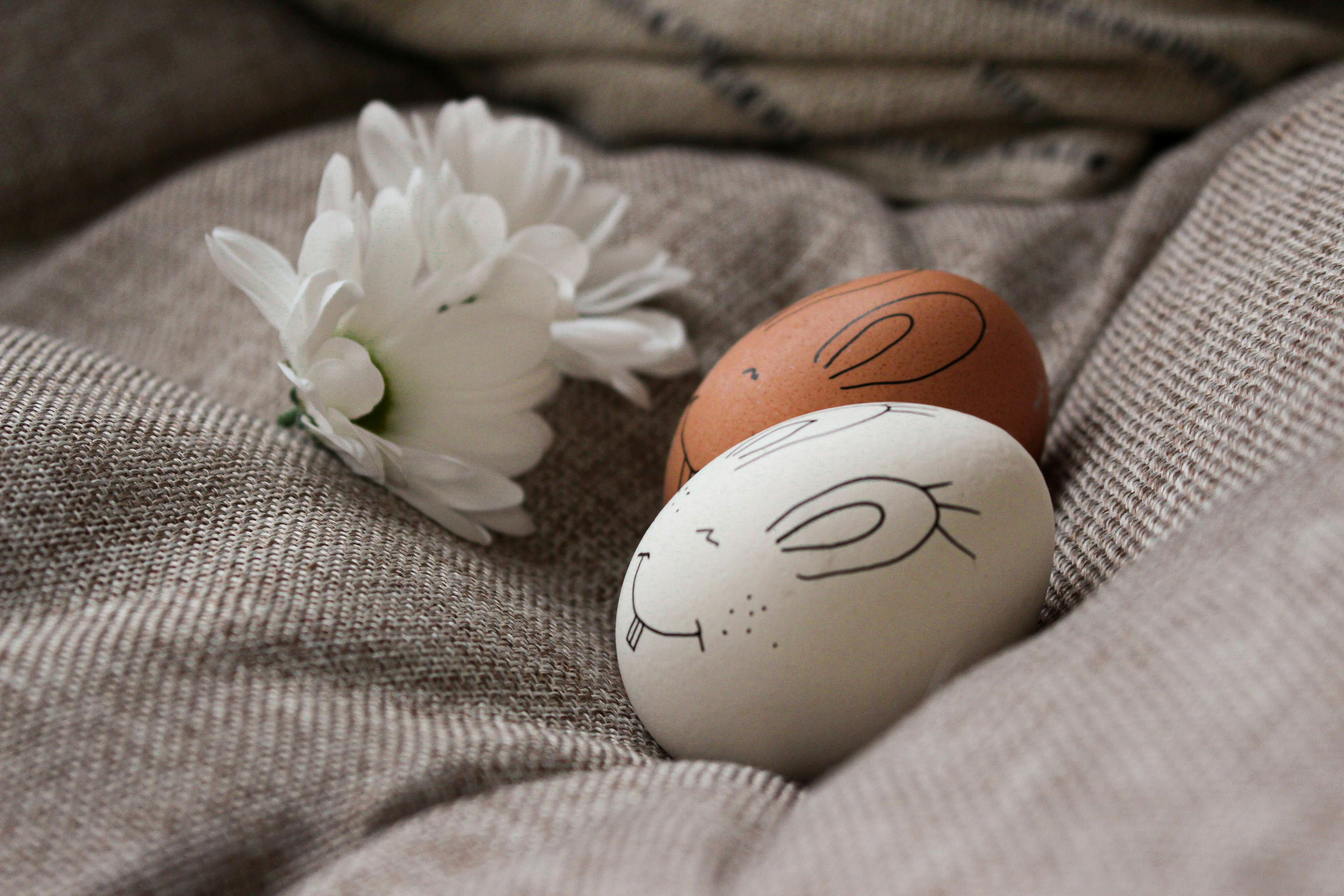 Die 8 besten Frühlingsdekoartikel 2026: Test & Vergleich