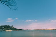 Body of Water Near Trees