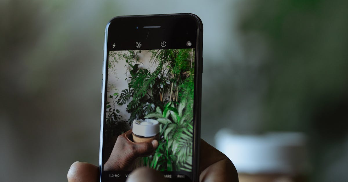 How to blur a picture on iPhone 12