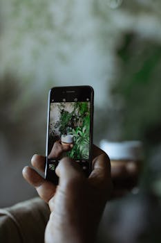 Hand holding smartphone capturing a plant in a stylish, modern setting.