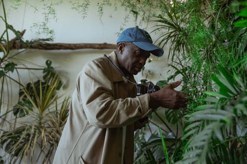 Free Photo of an Old Man Looking at the Leaves Stock Photo