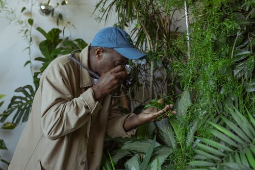 Free Photo of Man Taking Pictures of Plants Stock Photo