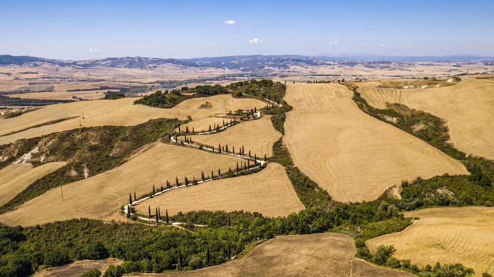 Vedere de sus asupra unui drum mărginit de chiparoși șerpuind printre dealurile toscane