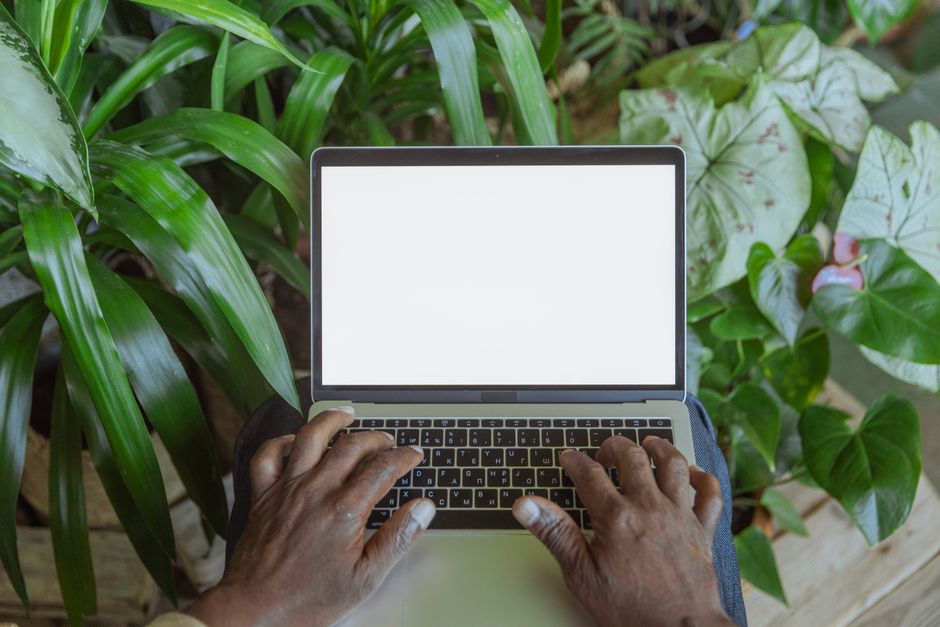 The Science Behind Biophilic Design and Workplace Productivity biophilic design