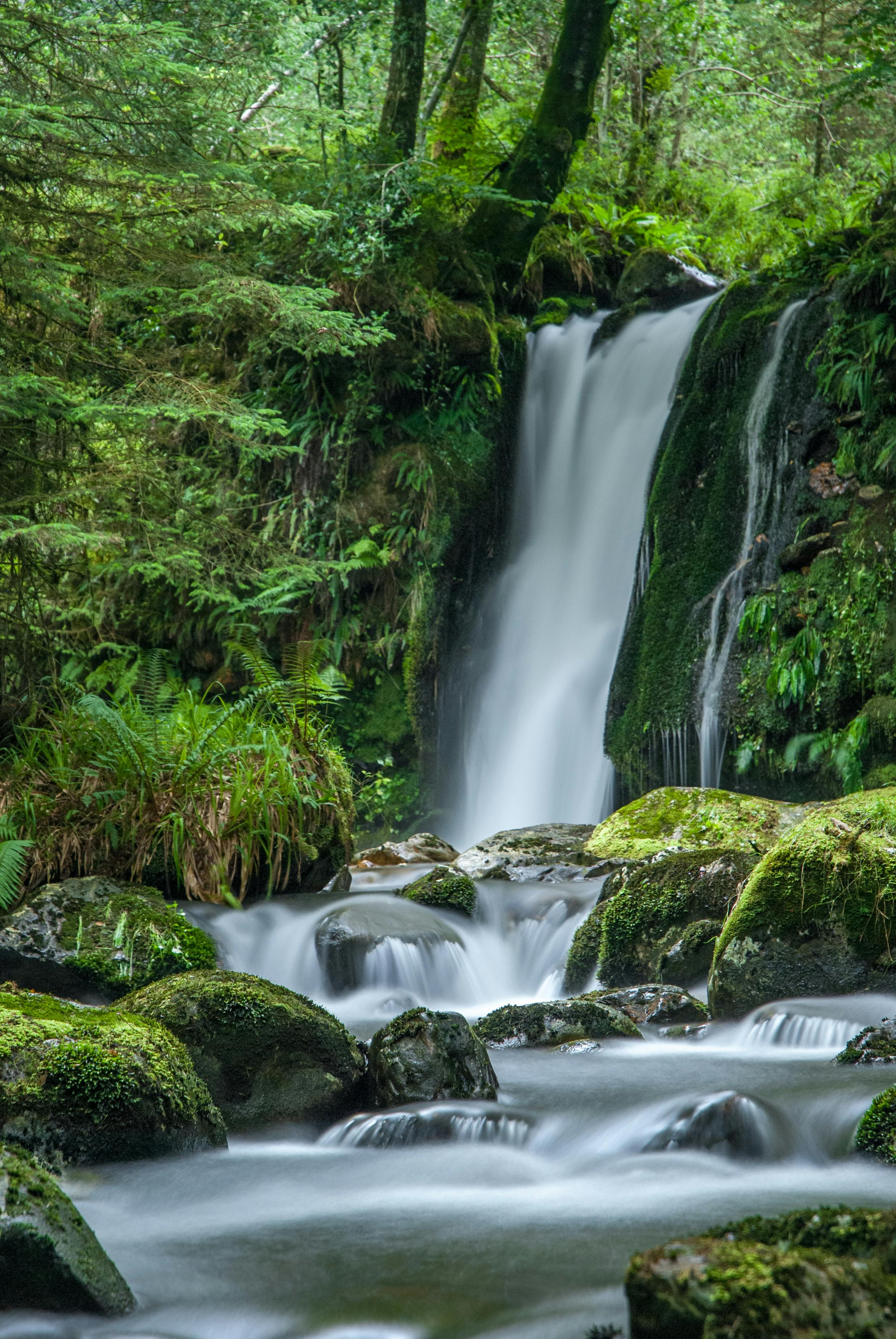 Foto de stock gratuita sobre agua, arroyo, bosque, caer, cascada, corriente, escénico, fluyendo, medio ambiente, movimiento, musgo, naturaleza, paisaje, piedras, río, rocas, tiro vertical Foto de stock gratuita sobre agua, arroyo, bosque, caer, cascada, corriente, escénico, fluyendo, medio ambiente, movimiento, musgo, naturaleza, paisaje, piedras, río, rocas, tiro vertical