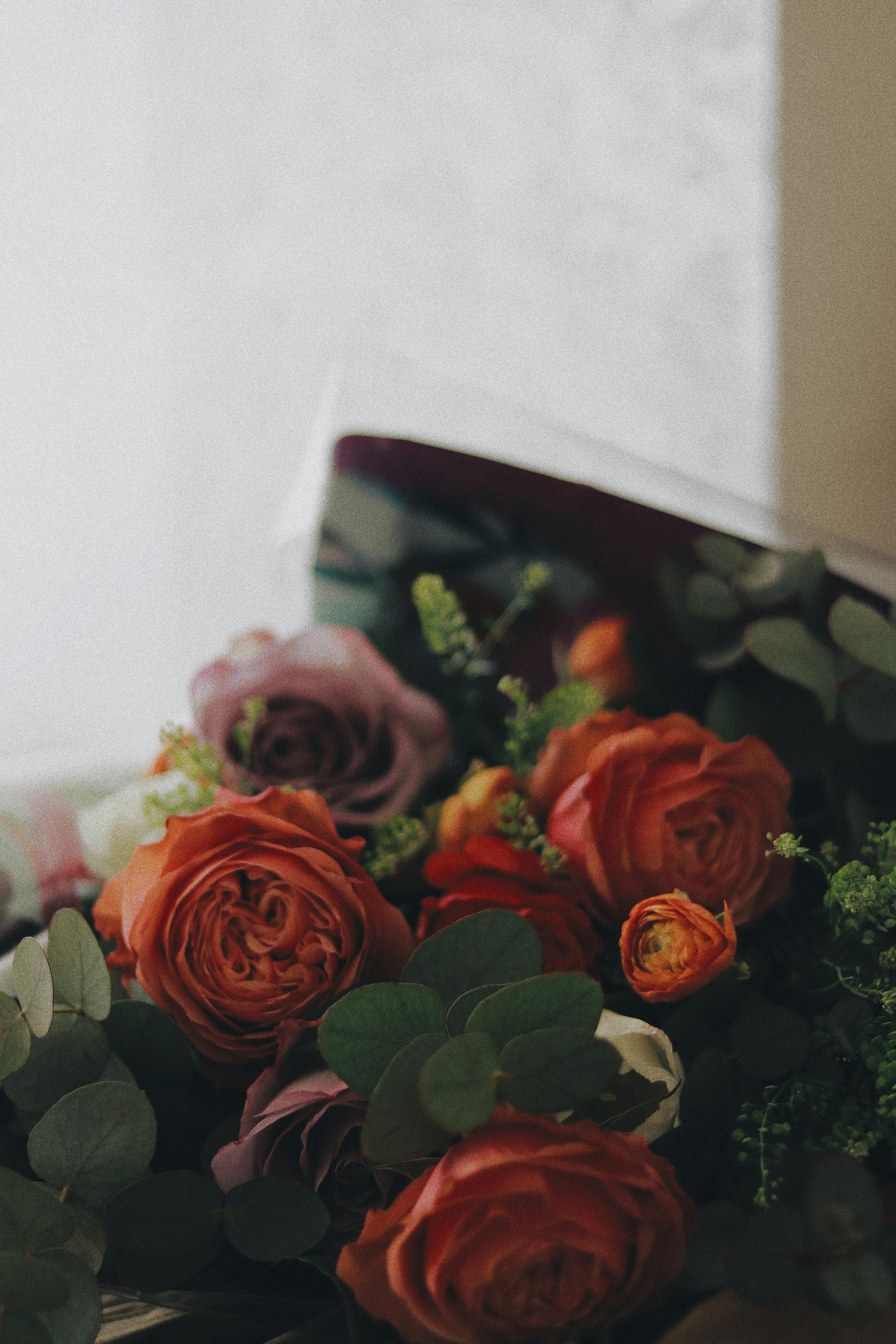 Diferentes Flores Frescas Colocadas En Fila. · Foto de stock gratuita Diferentes Flores Frescas Colocadas En Fila. · Foto de stock gratuita