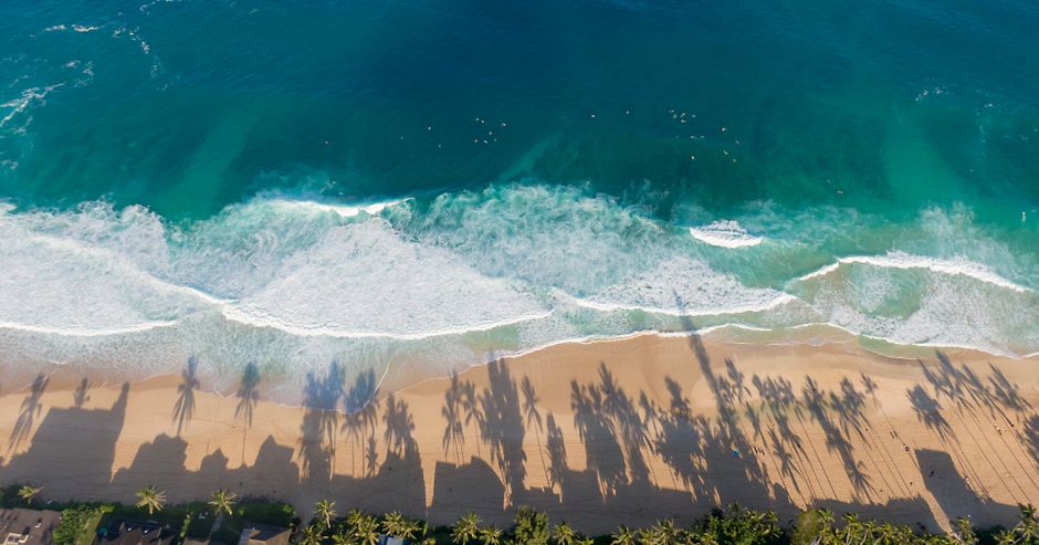 Unforgettable Day Trip from Oahu to Hilo: Volcano Adventure Review Review 2026 - A breathtaking aerial view of Waimanalo Beach, capturing the turquoise ocean, sandy shore, and palm shadows.