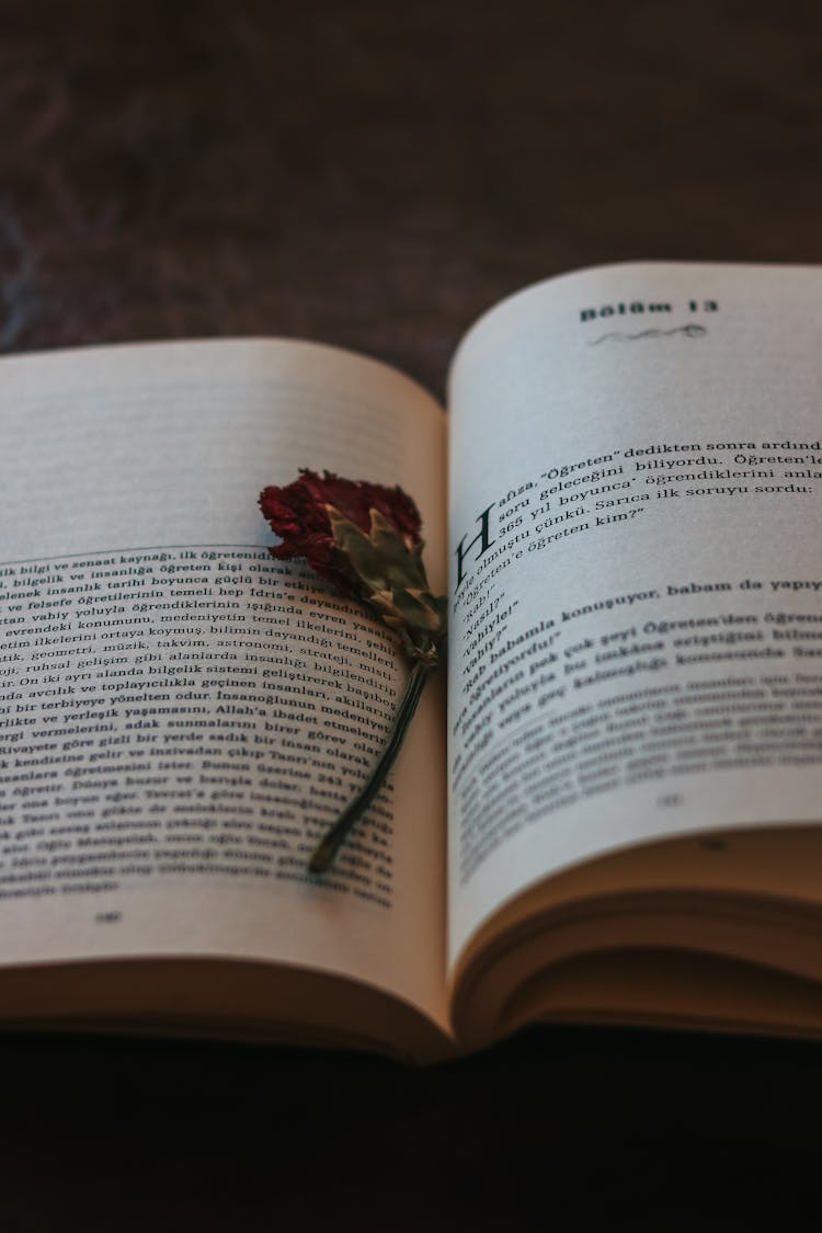 Dried Flower In Open Book