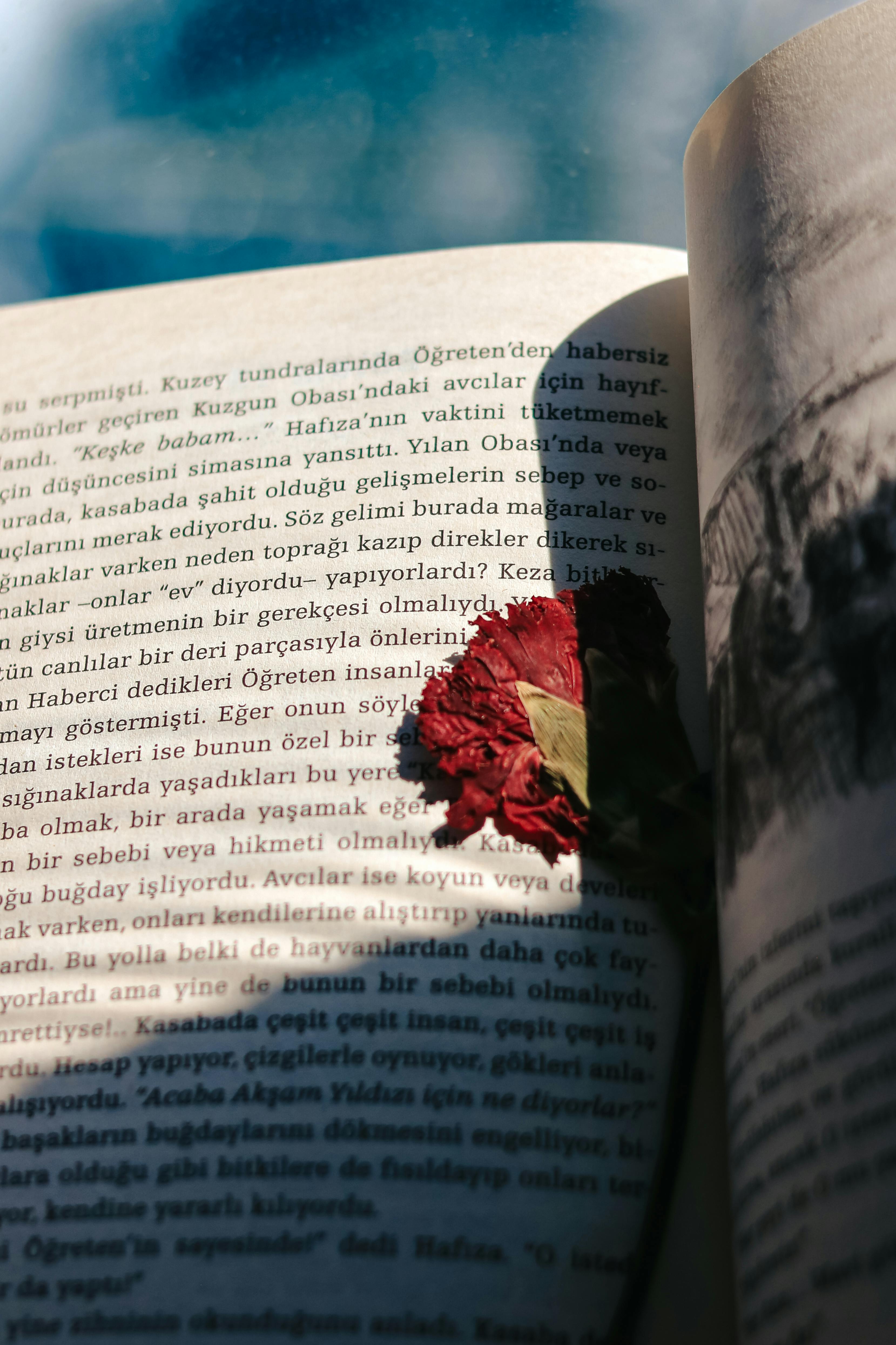 dried clove on book page