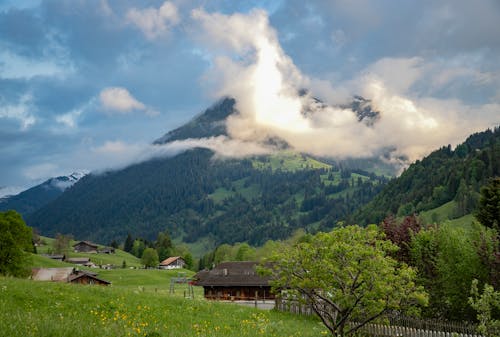 Foto d'estoc gratuïta de arbres, cases rurals, escena rural