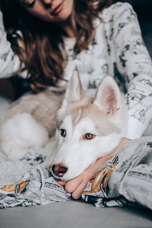 A Woman Petting Her Pet Husky