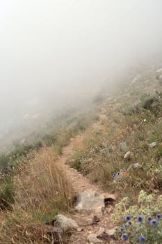 Misty pathway through grassy hills in Menton, Provence. Serene and scenic. by Jim Richter